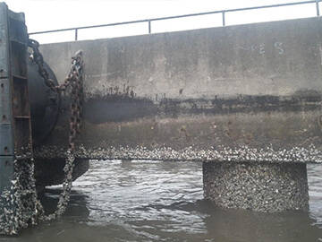 Rehabilitation of a Reinforced Concrete Jetty wIth CFRP Jacketing in Nigeria